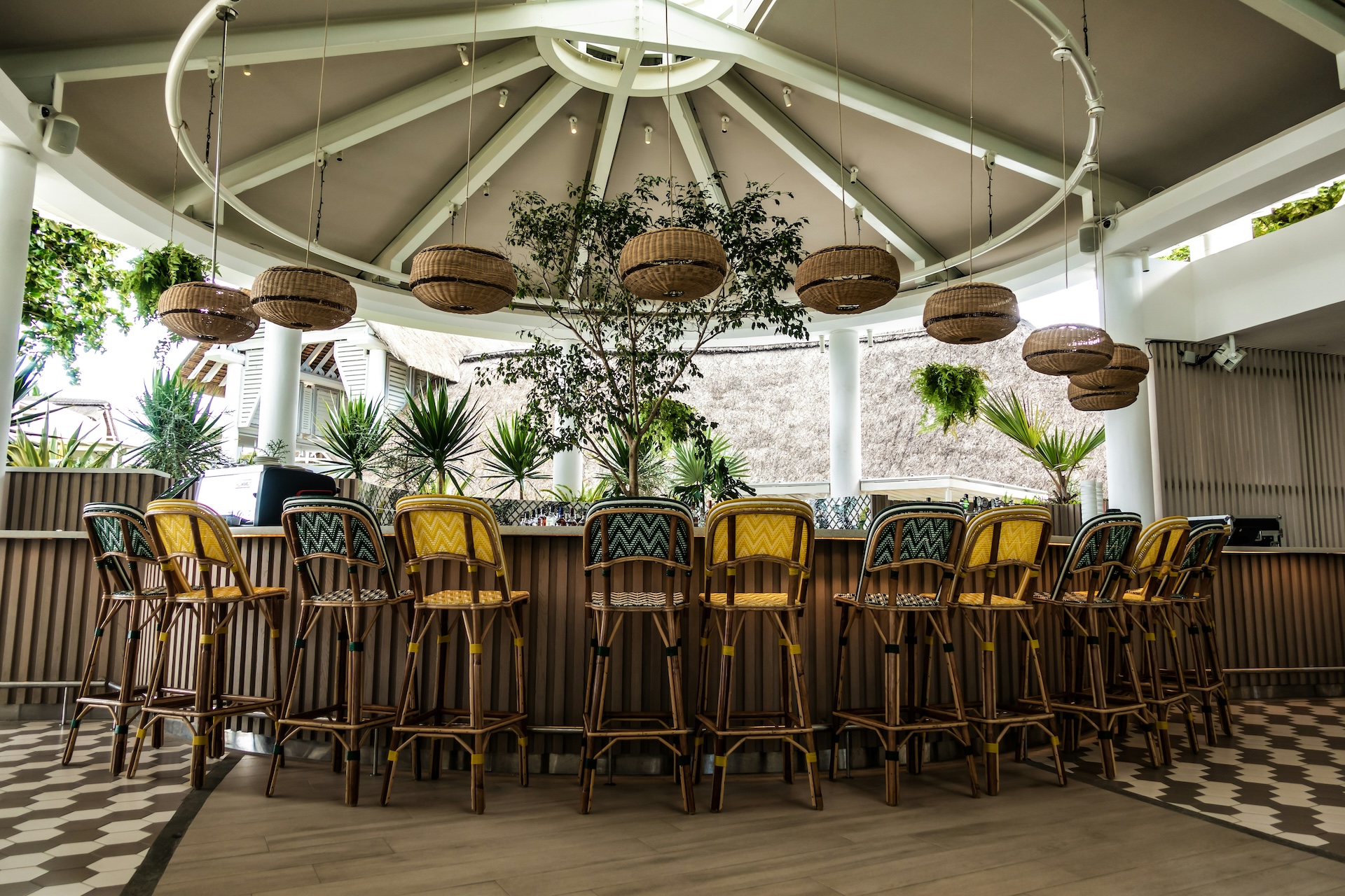 bar surrounded by plants